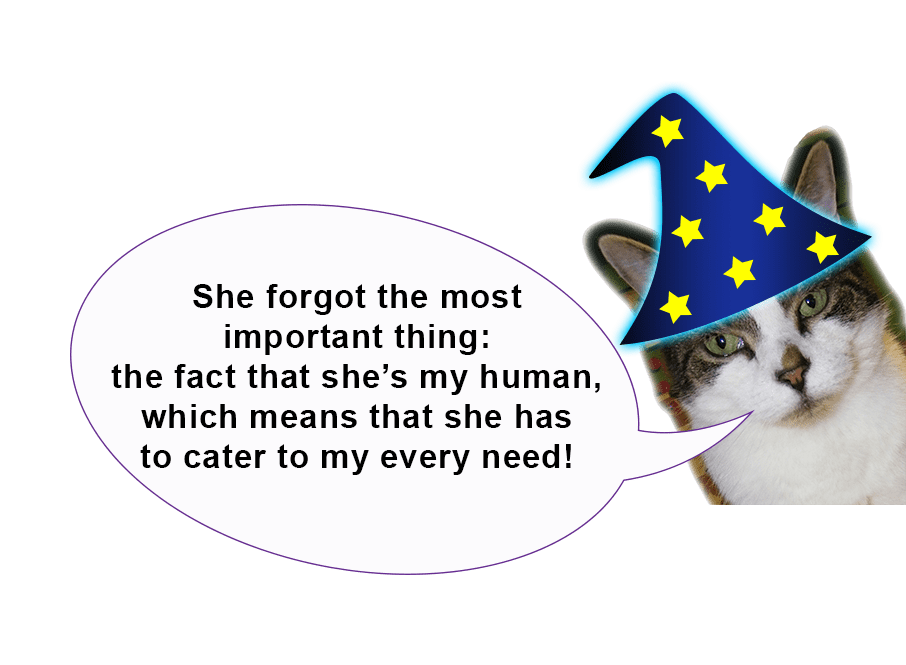 Zooey the cat says, "She forgot the most important thing: the fact that she's my human, which means she has to cater to my every need!"