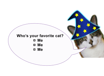 Zooey the cat, wearing a wizard hat, says: "Who's your favorite cat? Me, me, or me?"