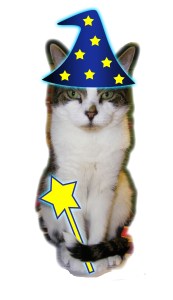 Zooey the cat, wearing a wizard hat and holding a magic wand